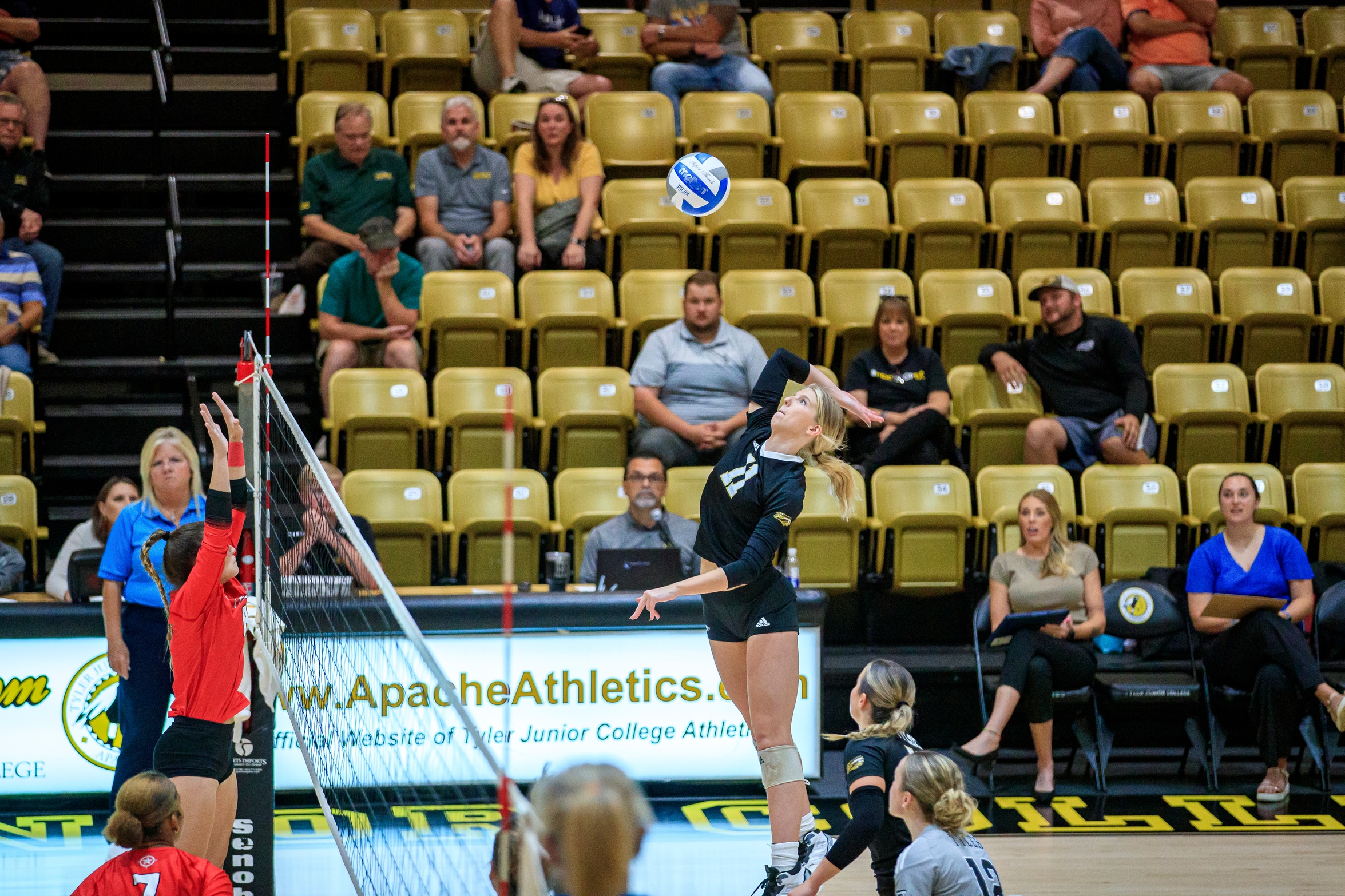 Volleyball gets home sweep over Lee